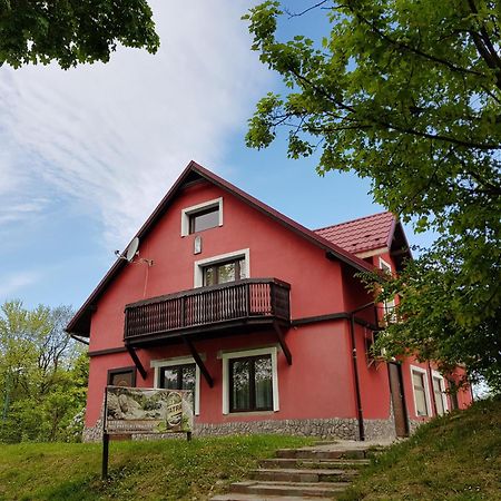 Apartamenty U Bodzia Stronie Śląskie Екстериор снимка
