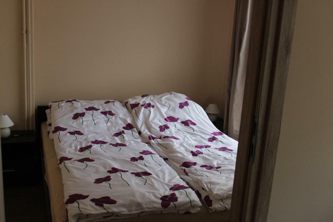 Apartamenty U Bodzia Stronie Śląskie Екстериор снимка